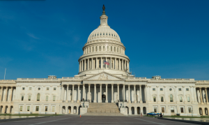 The increased gun violence in Washington inspired some Ninth Grade Studies classes to lobby for gun restrictions. Photo: Gareth Milner via Flickr.