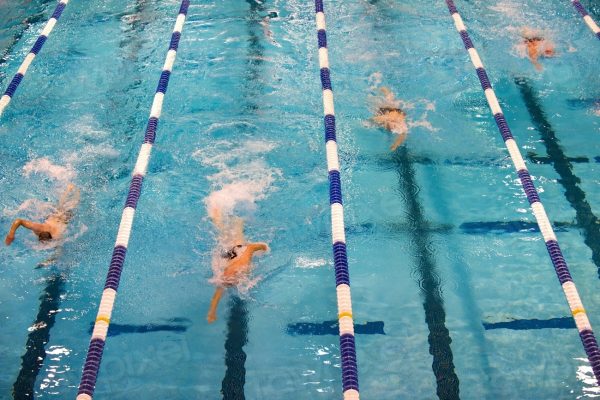 Transgender athletes have come under scrutiny in sports, especially in swimming. 