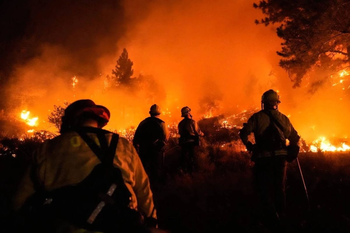 The wildfires in Southern California killed at least 29 people.