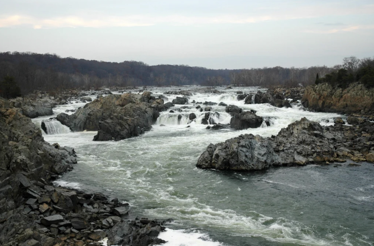The Potomac houses over 100 species of fish and many people engage in recreational activities on it, including Sidwell’s crew team.